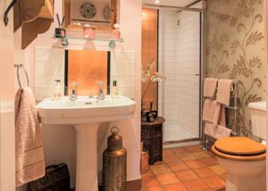 Cloakroom/Shower Room- click for photo gallery